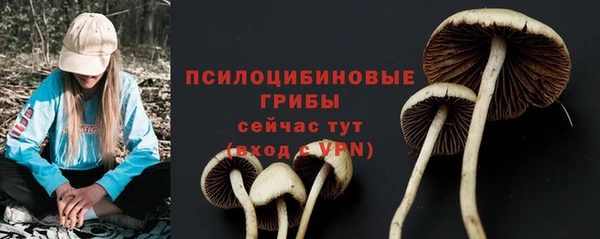 марки lsd Аркадак