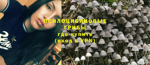 марки lsd Аркадак