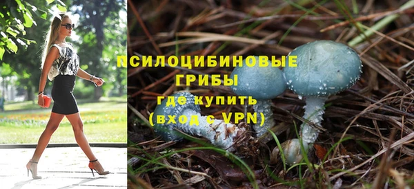 каннабис Арсеньев