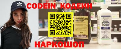 шишки Можга