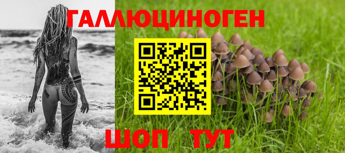 Новочеркасск  Псилоцибиновые грибы прущие грибы  Вход с VPN 