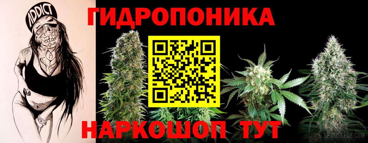 Каннабис ГИДРОПОН  Каннабис план  Марихуана семена  Бошки Шишки семена  Вход с VPN  Новочеркасск 